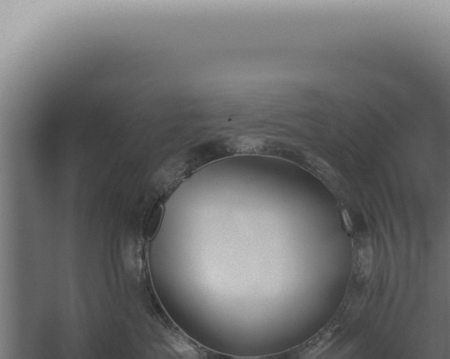 X0000060260525200511041352