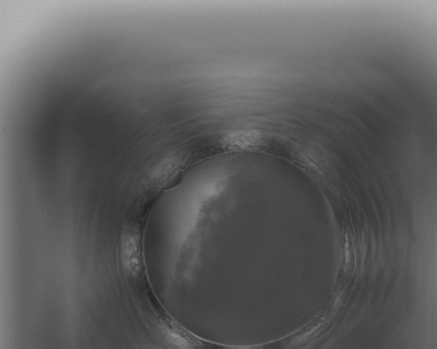 X0000060260526200511041352