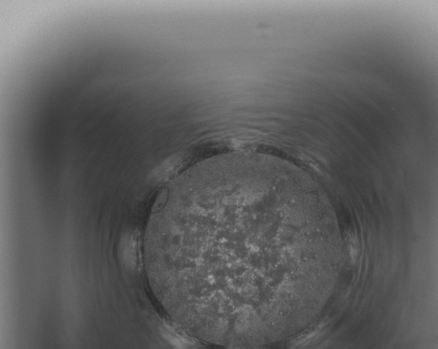 X0000060260527200511041352