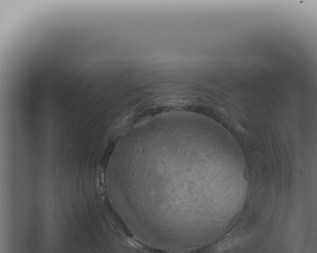 X0000060260528200511041352