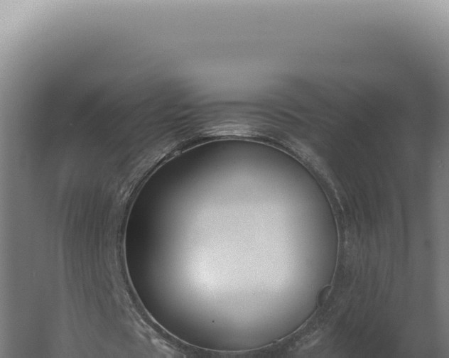 X0000060260529200511041351