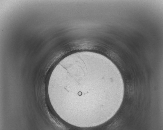 X0000060260534200511041352