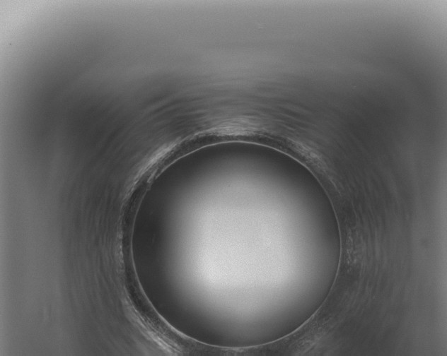 X0000060260535200511041352