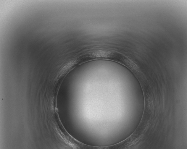 X0000060260537200511041352