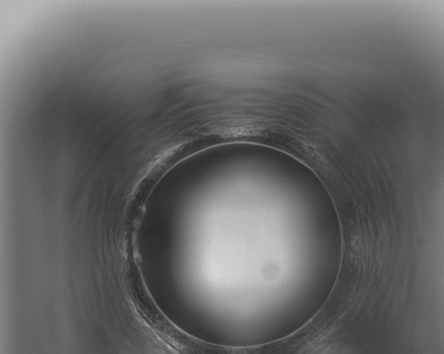 X0000060260539200511041352