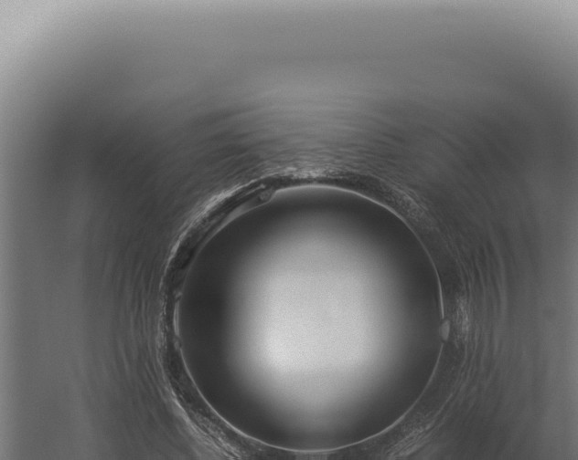 X0000060260540200511041352