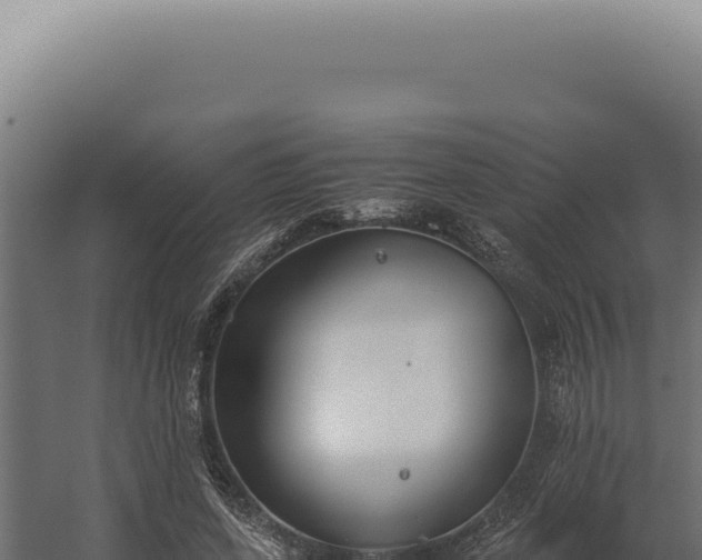 X0000060260543200511041352