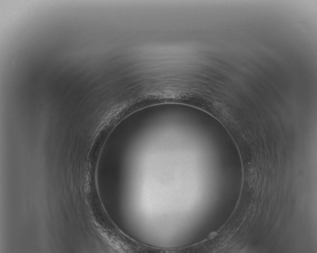 X0000060260544200511041352