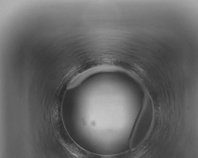 X0000060260552200511041352