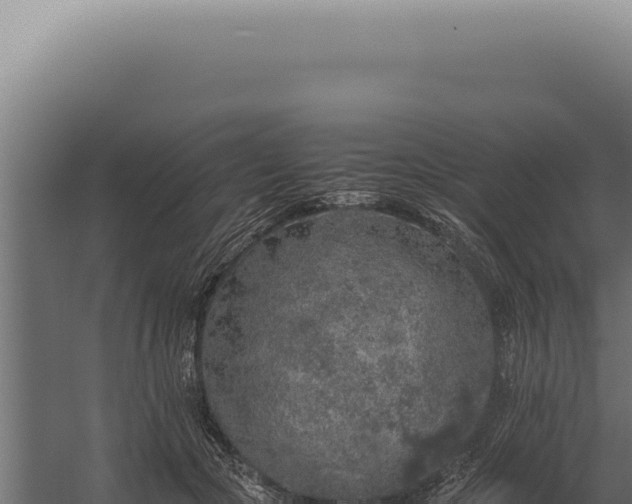 X0000060260553200511041352