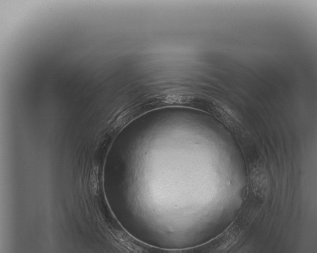 X0000060260554200511041352