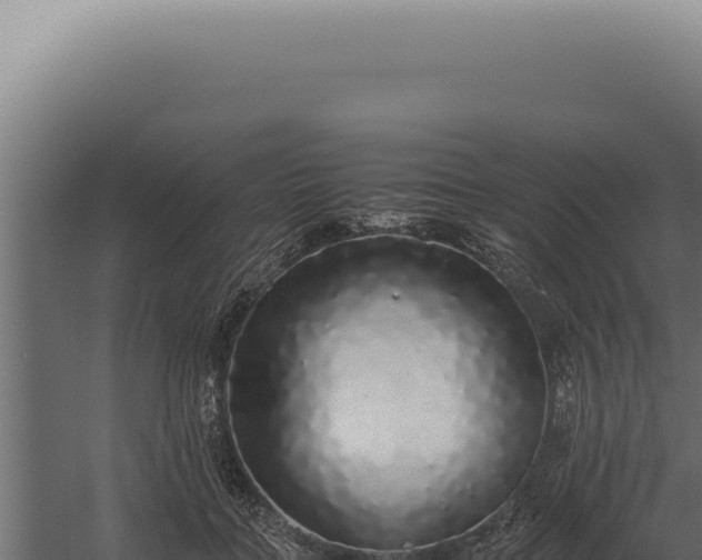 X0000060260555200511041352