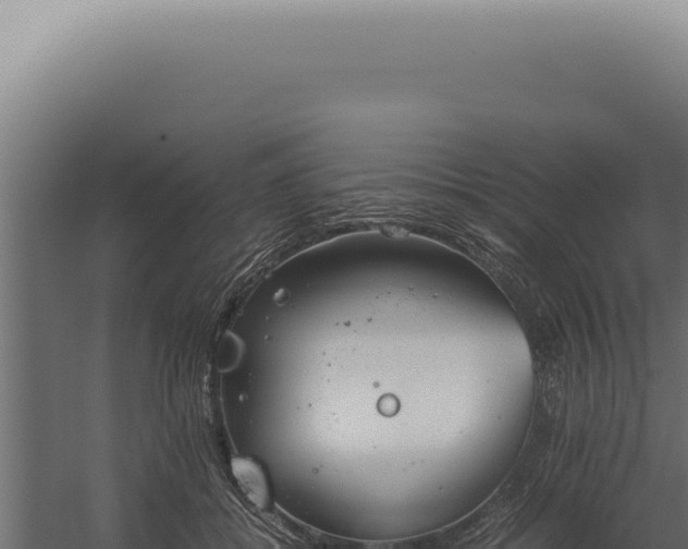 X0000060260556200511041352