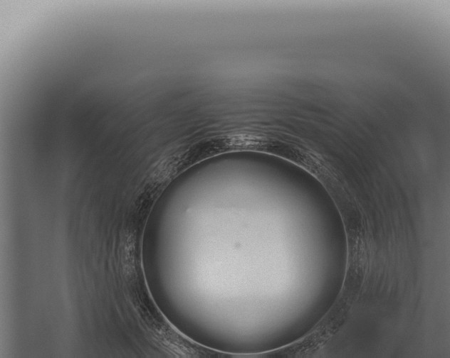 X0000060260557200511041352