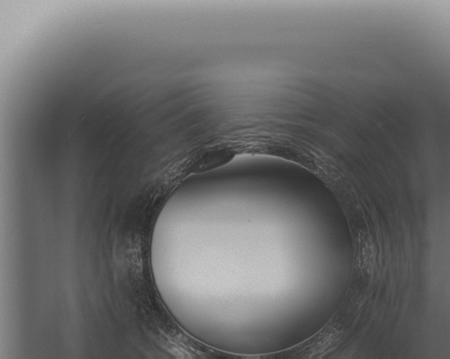 X0000060260562200511041352