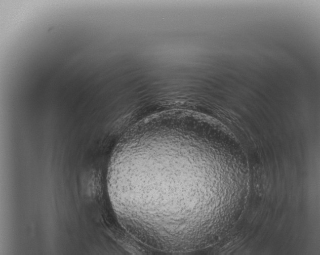 X0000060260563200511041352