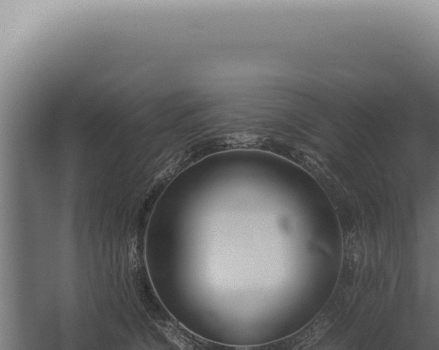 X0000060260564200511041352