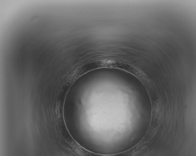 X0000060260565200511041352