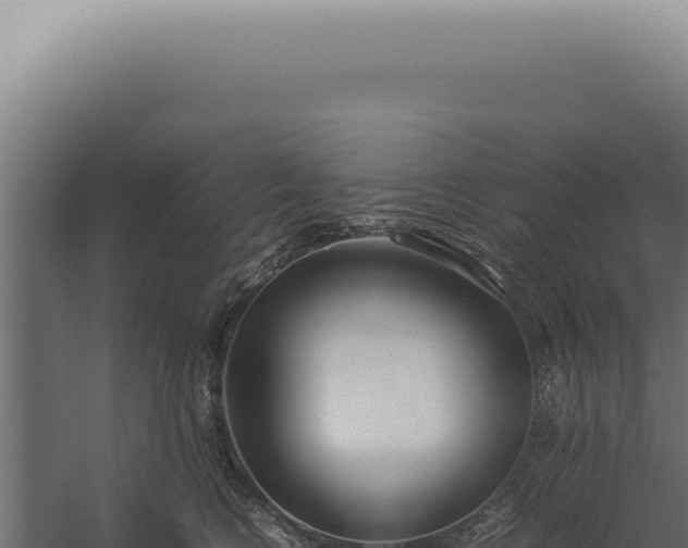 X0000060260566200511041352