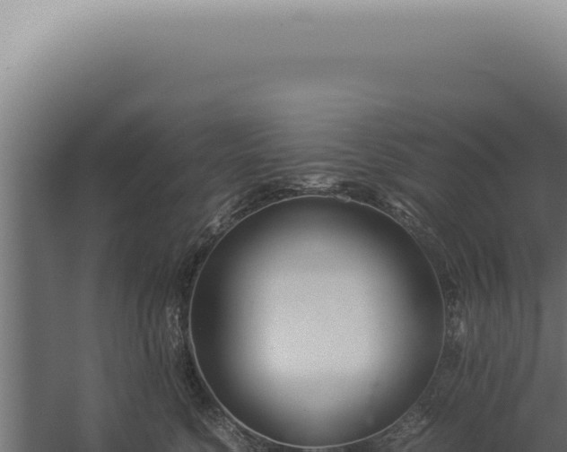 X0000060260568200511041352