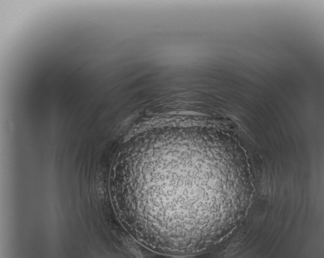 X0000060260569200511041352