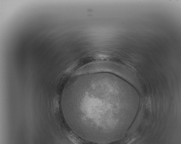 X0000060260570200511041352