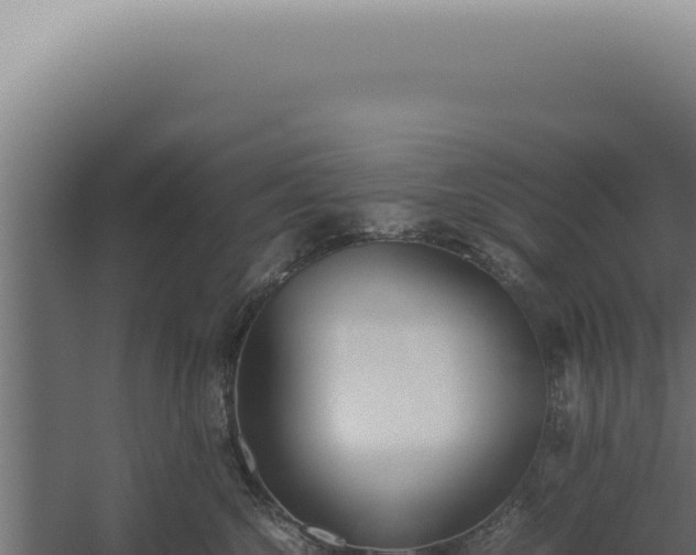 X0000060260572200511041352