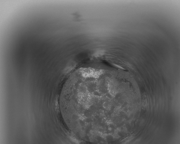 X0000060260573200511041352