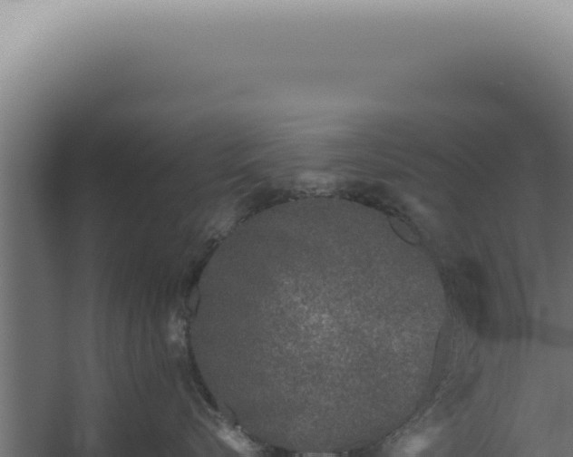 X0000060260576200511041352