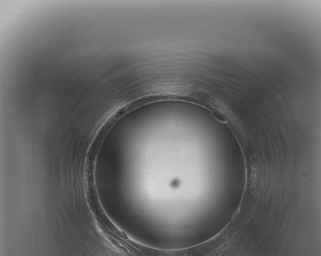 X0000060260580200511041351