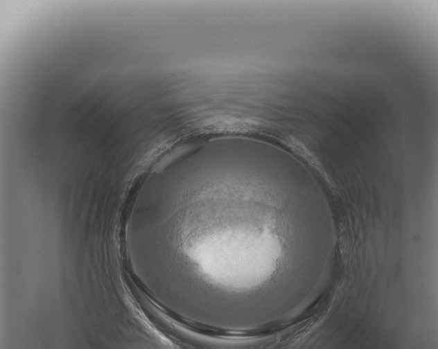 X0000060260581200511041351