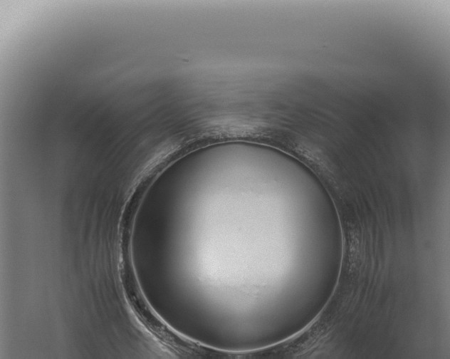 X0000060260582200511041351