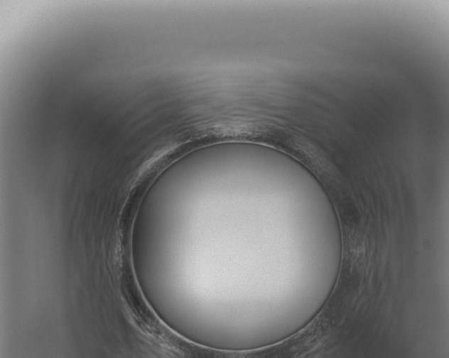 X0000060260583200511041351