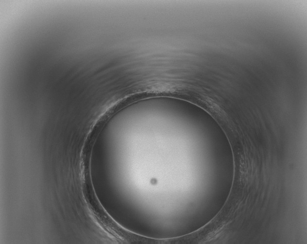 X0000060260584200511041351