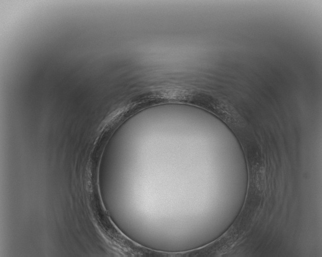 X0000060260587200511041351