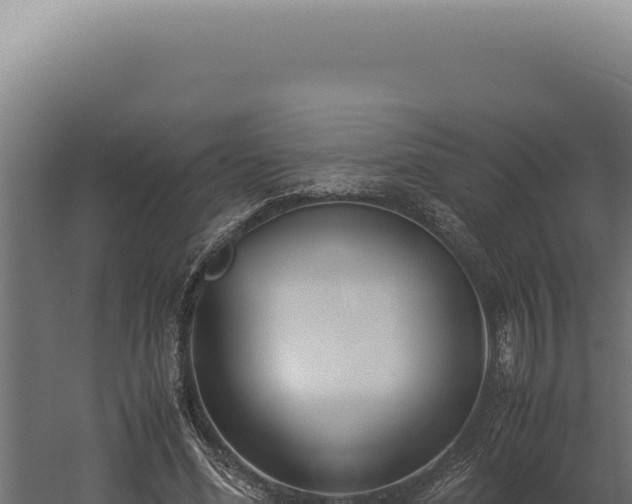 X0000060260588200511041351