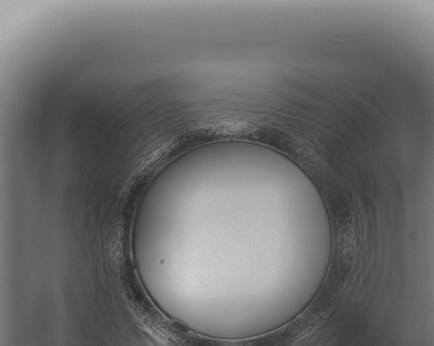 X0000060260591200511041351