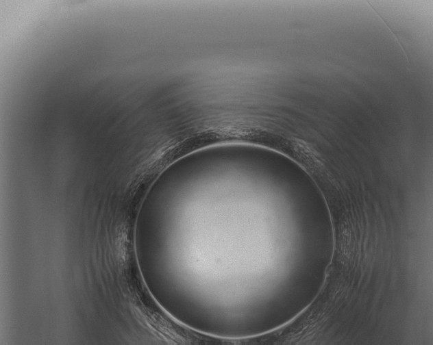 X0000060260596200511041351