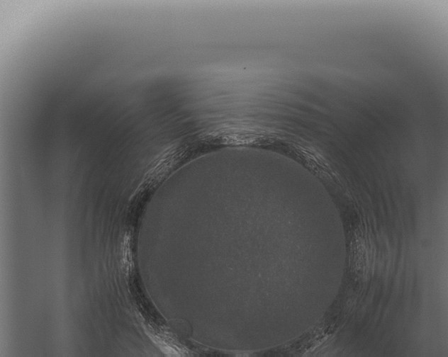 X0000060260598200511041351