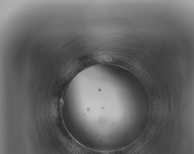 X0000060260600200511041351