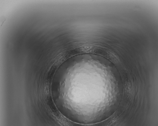 X0000060260602200511041351