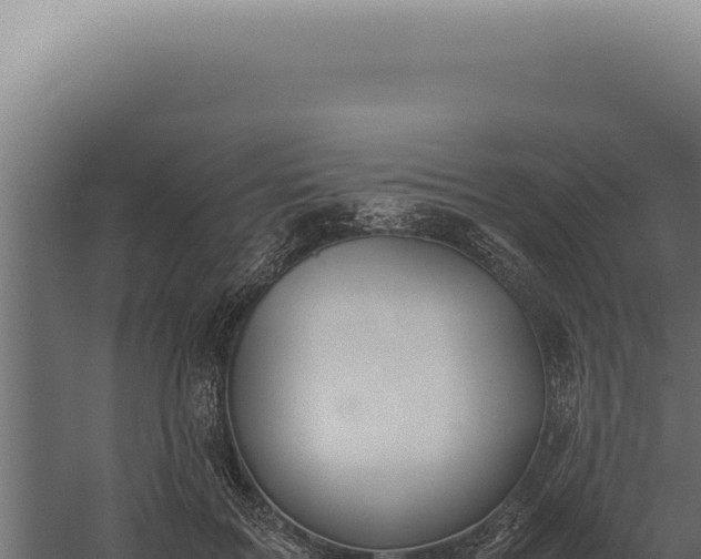 X0000060260603200511041351