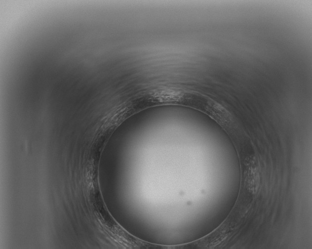 X0000060260604200511041351