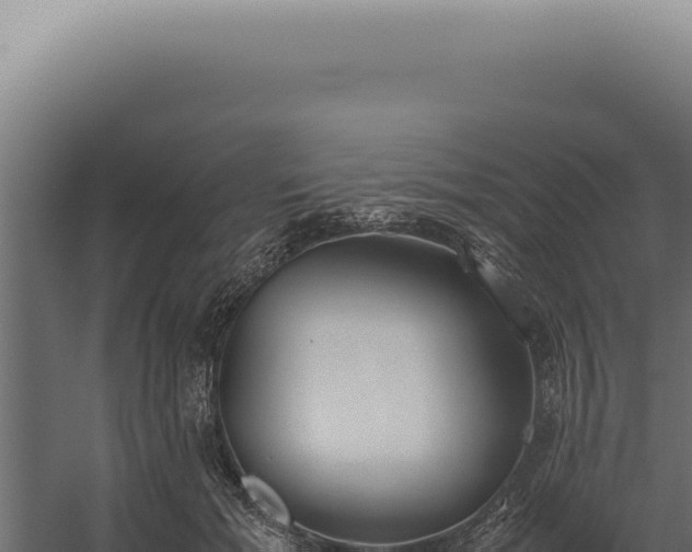 X0000060260605200511041351