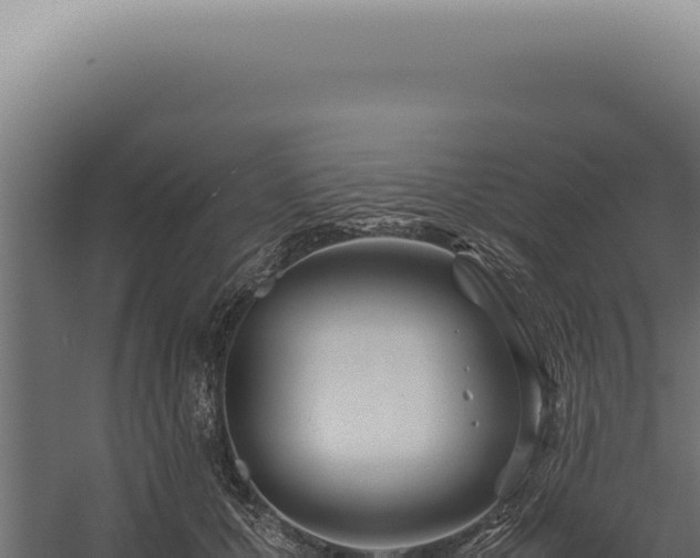 X0000060260607200511041351