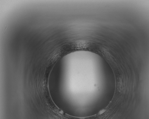 X0000060260608200511041351