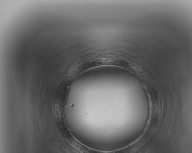 X0000060260609200511041351