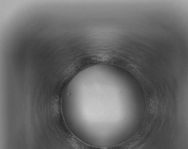 X0000060260612200511041351