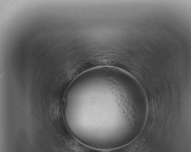 X0000060260615200511041351