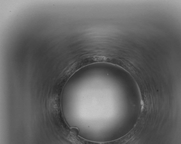 X0000060260616200511041351